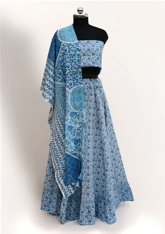 Nilima Pushp Gopidress