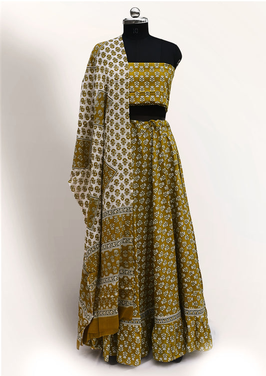 Ambar Phool Gopidress